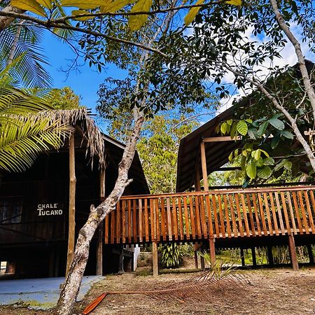 Ponta Poranga Jungle Lodge Manaus Zewnętrze zdjęcie