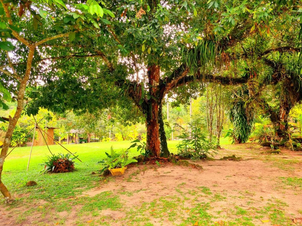 Ponta Poranga Jungle Lodge Manaus Zewnętrze zdjęcie