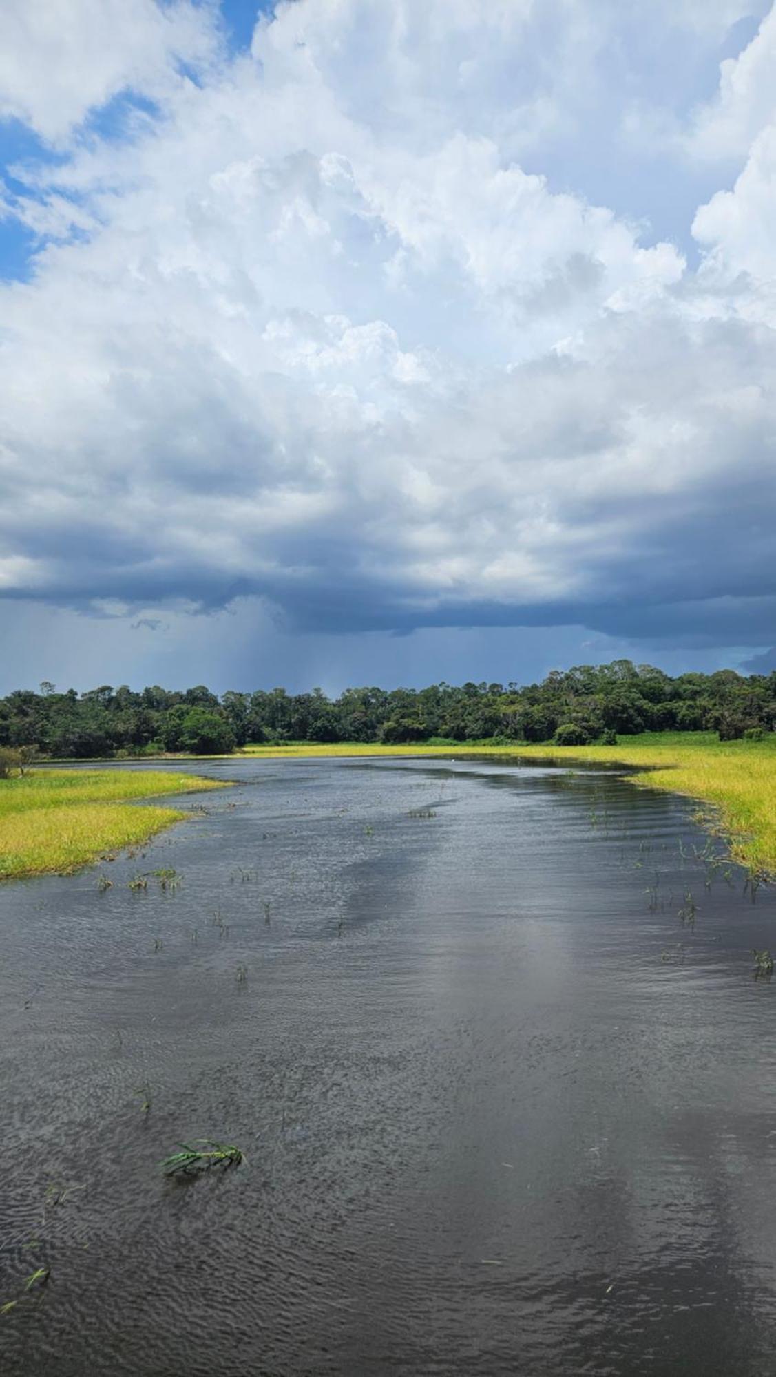 Ponta Poranga Jungle Lodge Manaus Zewnętrze zdjęcie
